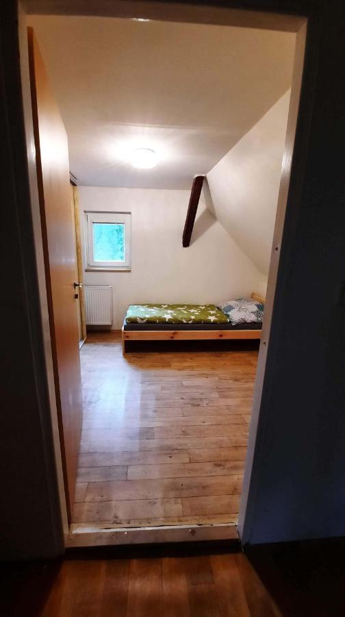 Dum U Lesa - Nove Hamry Villa Bagian luar foto