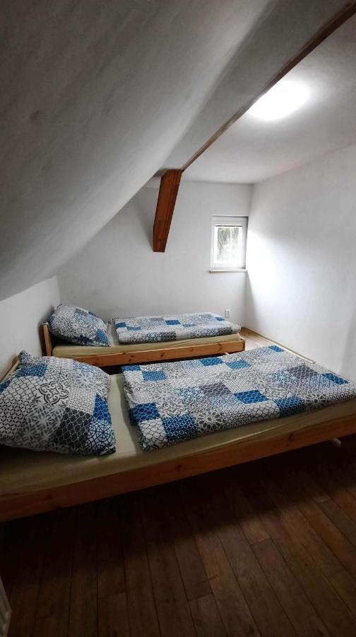 Dum U Lesa - Nove Hamry Villa Bagian luar foto